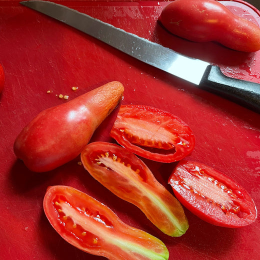 Tomato: Pink Fang – Daisy Hill Farm
