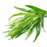 Tarragon: French