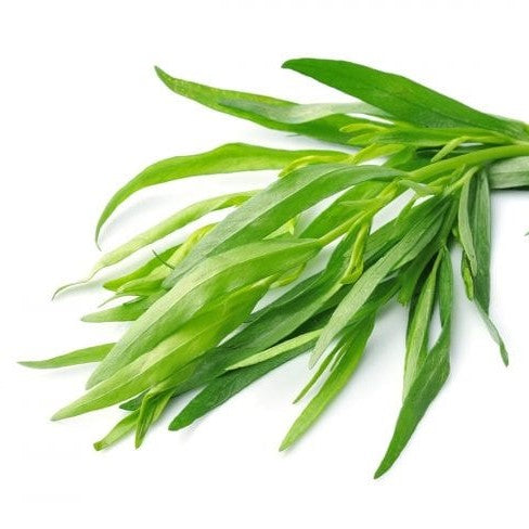 Tarragon: French – Daisy Hill Farm