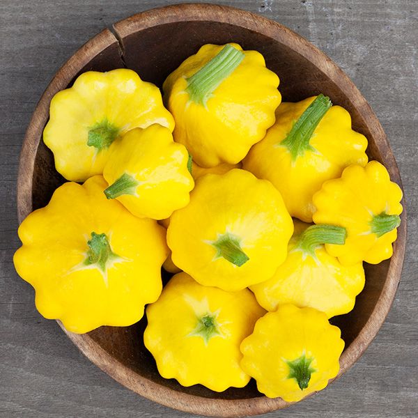 Squash: Patty Pan: Y-Star